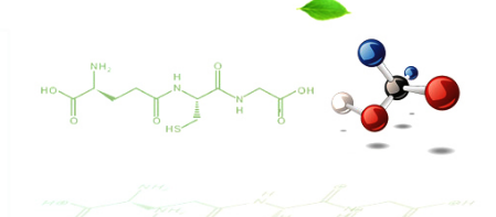 技術創(chuàng)新 技術創(chuàng)新