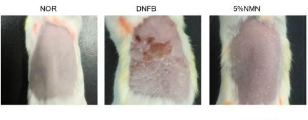 古特生物 古特生物