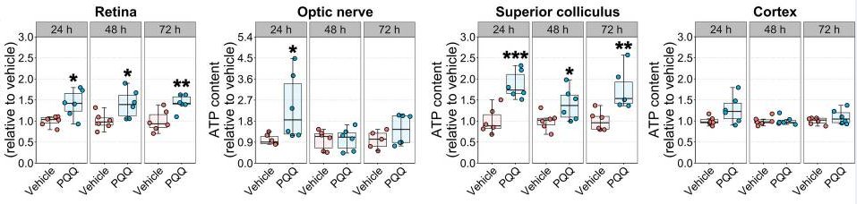 古特生物 古特生物