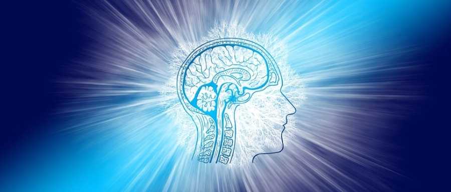 古特生物 肌肉力量和身體機(jī)能的增強(qiáng)