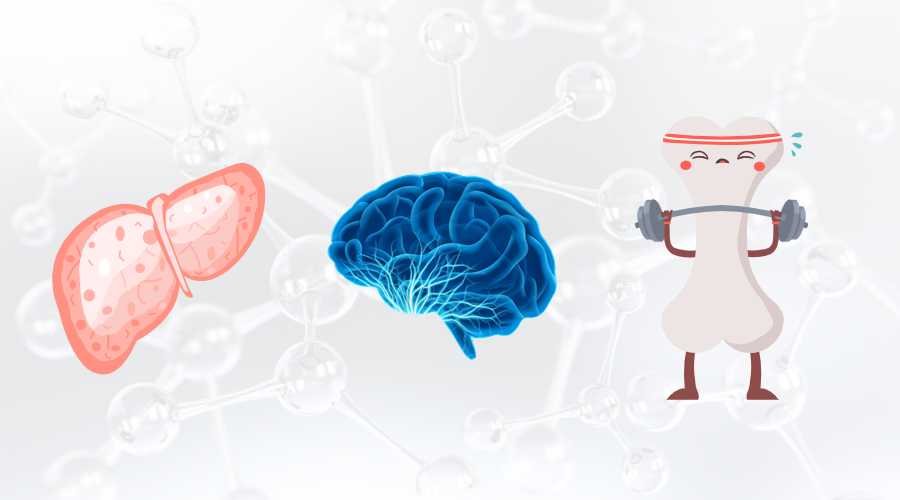 古特生物 SAMe對(duì)肝臟健康的潛在益處