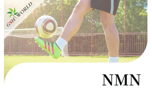 行業(yè)關注 - NMN對肌腱炎的抗氧化作用