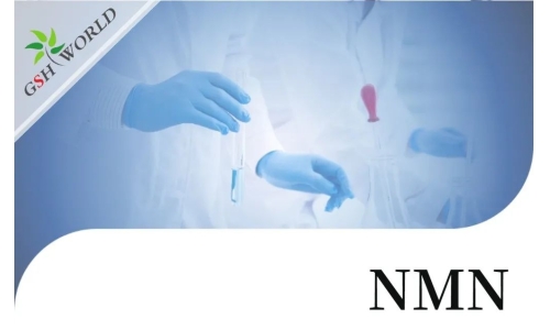 行業(yè)關注 - NMN的保健功能與最新研究進展