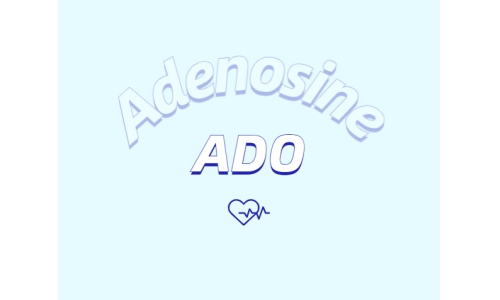 腺苷能促進(jìn)睡眠嗎？