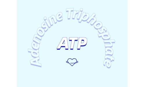 ATP補充劑對運動有什么益處？